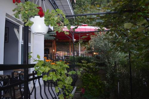 Létesítmények, Villa Klibo in Dolno Konjsko