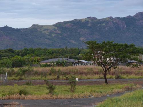 Westfield Homestay Fiji