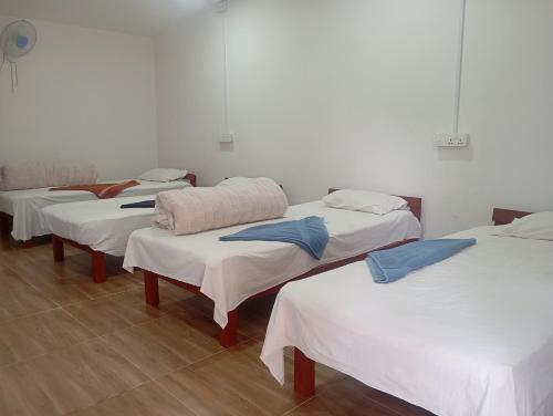 Chital lodge in Meghauli