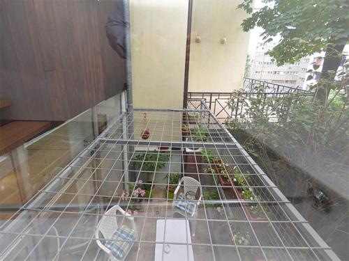 Apartments Asja - image 5