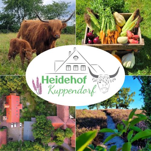 Létesítmények, Heidehof Kuppendorf in Kirchdorf