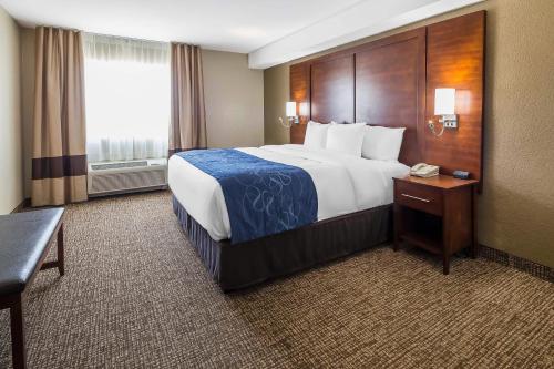 Comfort Suites El Paso Airport - main image