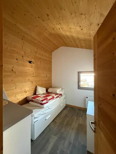 Ski-in ski-out duplex in La Plagne