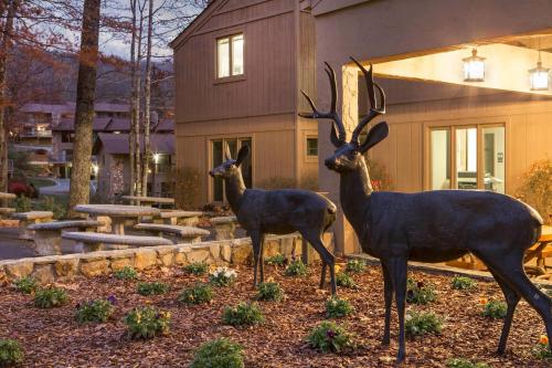Bluegreen Vacations Blue Ridge Village, an Ascend Resort in Banner Elk, USA