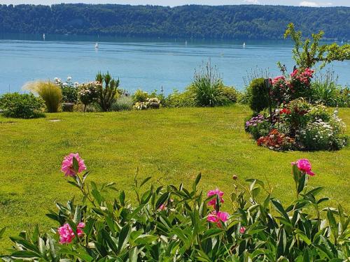 Buitenkant, Ferienwohnung Panorama Seesicht in Sipplingen
