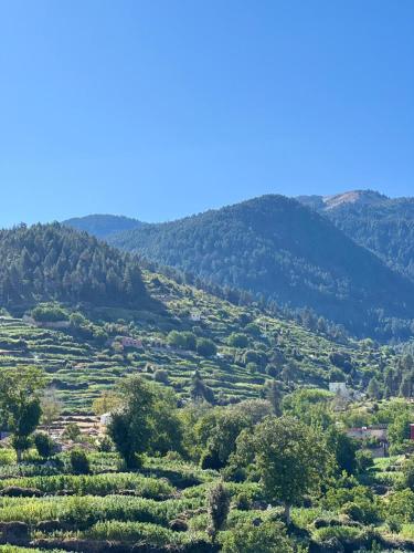 Room with amazing view on mountain Tidghine Ketama