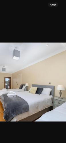 Birchall Lodge in Oughterard