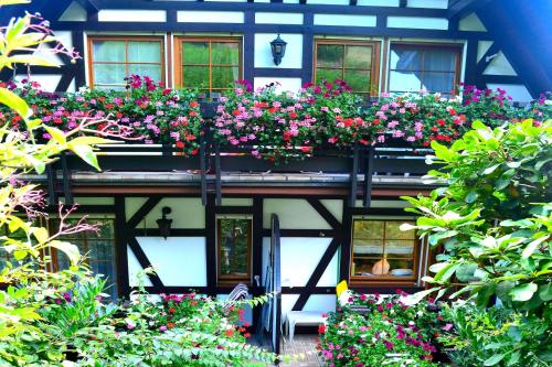 Haus Bachschwalbe - Apartment - Sasbachwalden