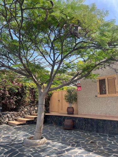 Finca Morales