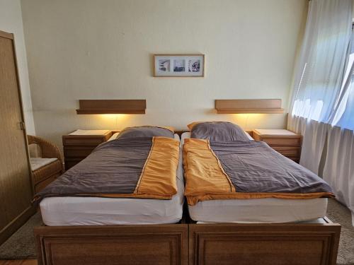 ทัศนียภาพภายนอกโรงแรม, Haus Wiesenblick in เมลดอร์ฟ