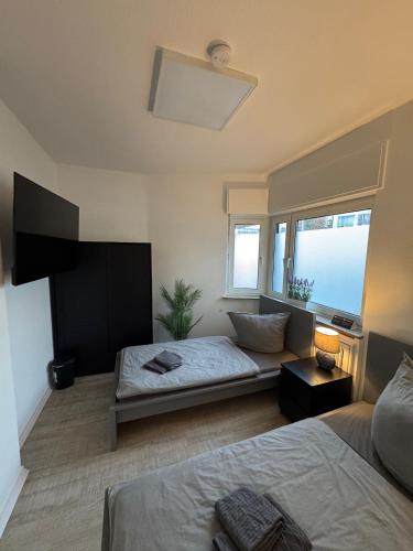 Blauer Stein - Now Haus in Siegburg