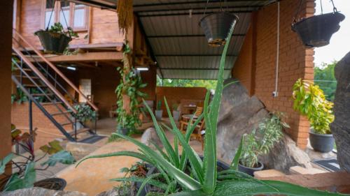 Lion Wood Treehouse - image 2