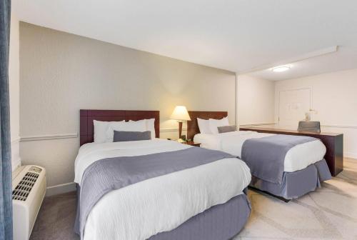 The Blu Hotel Ascend Hotel Collection - image 9