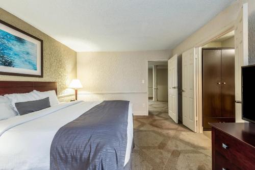 The Blu Hotel Ascend Hotel Collection - image 6