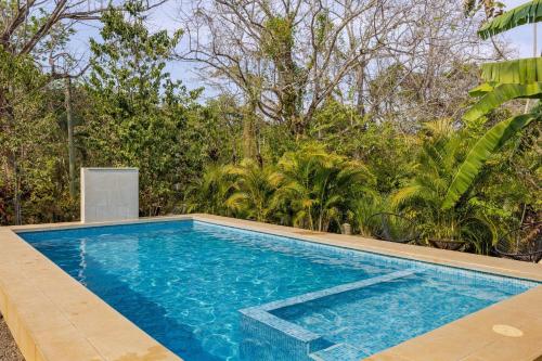 泳池, Private Costa Rican Oasis with Pool River Views in 蒙提祖馬