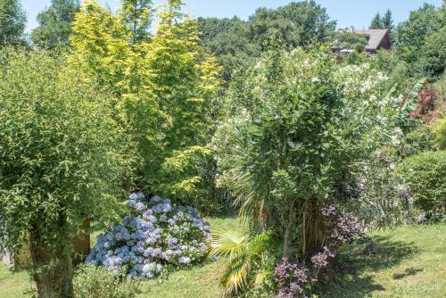 Jardín, Le lodge sur pilotis in Lourdes City Center