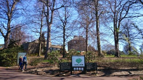 Violet Bank Apartment New Town - image 8