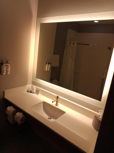 Holiday Inn Express & Suites Bonham By IHG - 화장실