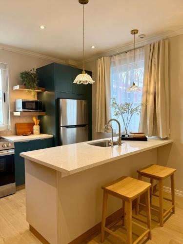 Brand New Boutique Home 6 BR Sleeps 20 Savannah in Newtown