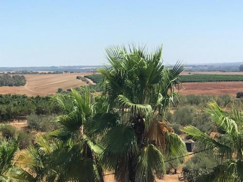 Apkārtne, HACIENDA LA MACARENA DE SEVILLA in Tosina