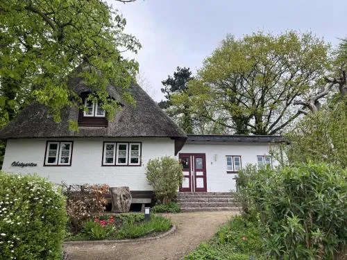 Obstgarten in Kappeln, Deutschland