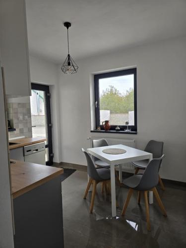 Kitchen, Kovacs apartman in Targu Secuiesc