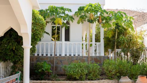 بيت الشّاب Al Shab House in Tiwi