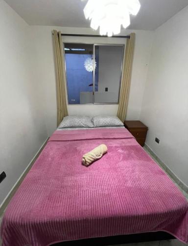 Lindo apartamento con gran patio