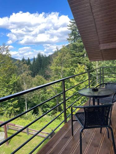 Котедж в Карпатах in 亞列姆切