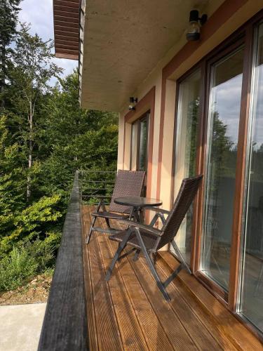 Котедж в Карпатах in 亞列姆切