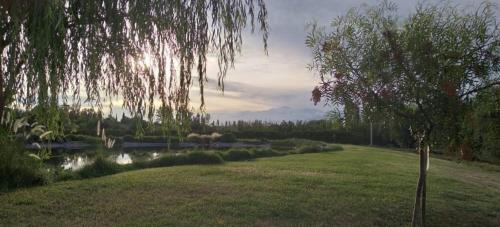 View, Boutique Vineyard and Wine Lodge in Coquimbito