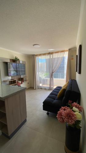 acogedor departamento a pasos del faro y humedal