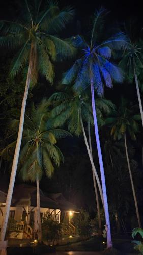 Marilyn’s Resort Koh Samui – Ko Samui, UT
