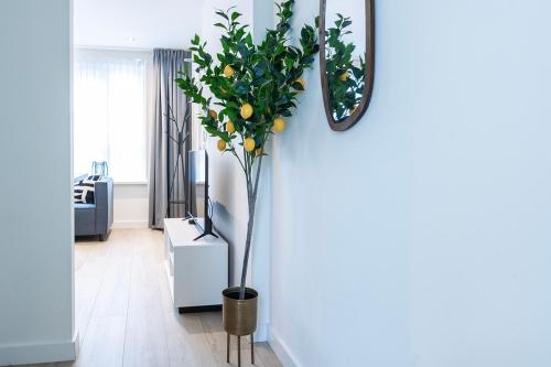 Fully Equipped Apartment, lovely bed in Strijp