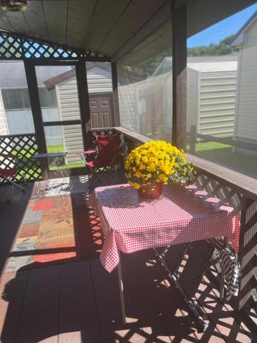 Balcony/terrace, Sir Happy's Place in Elkins (WV)