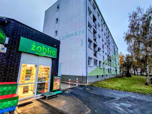外部景觀, Apartament IRESTAN - Komfortowy wypoczynek w sercu Karkonoszy in 扎博布澤