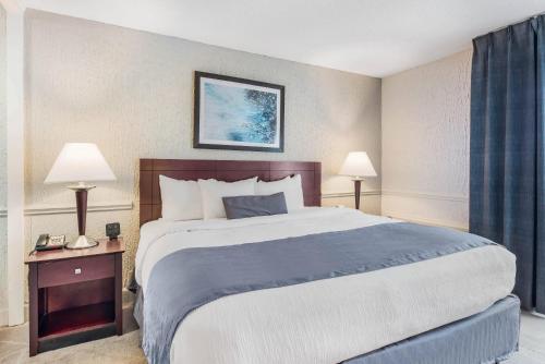 The Blu Hotel Ascend Hotel Collection - image 14
