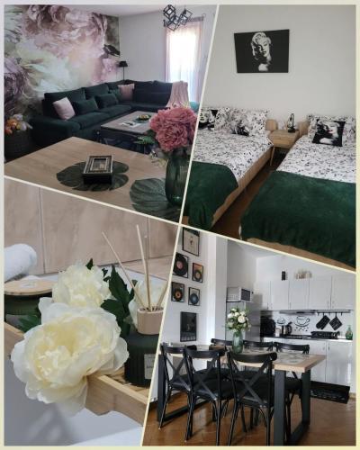 Apartment Božur