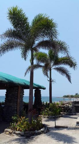 Patogumai, RedDoorz @ White Castle Beach Resort Iba Zambales in Iba