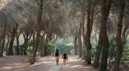 Agriturismo Fontanelle 4