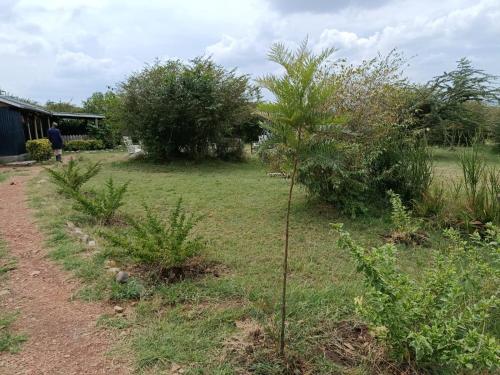 Kambu Mara Camp in Narok
