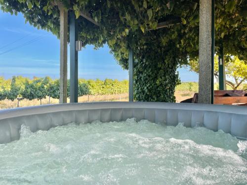 ทัศนียภาพภายนอกโรงแรม, Casa Trincadeira in ปาลเมรา