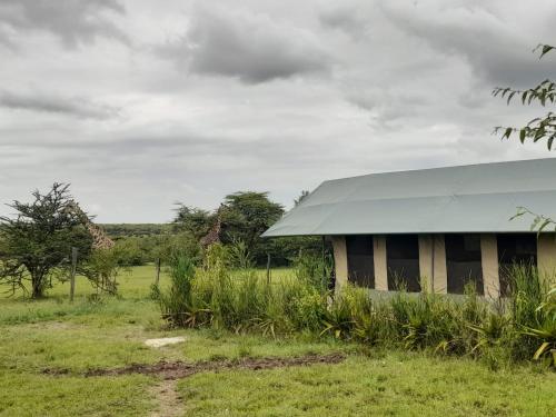 Kambu Mara Camp in Narok