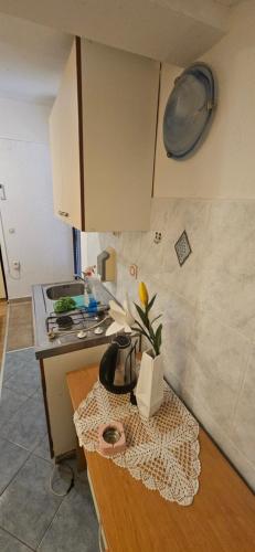 Apartments Hugo in Ljutici