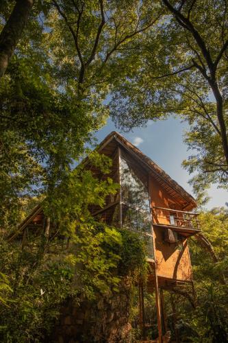 Satori Zen Club in 伊陶瓜