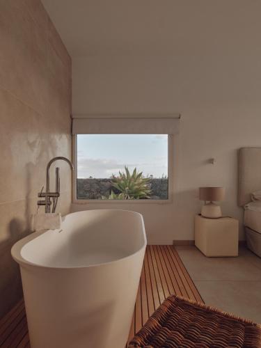 Alondra Villas y Suites - image 3