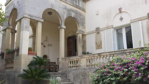 Luxury Villa Monika