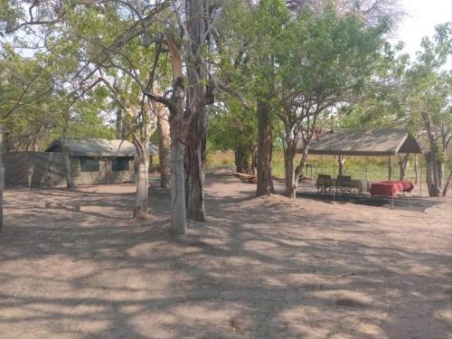 Garden, Khwai Game Lodge and Campsite in Khwai