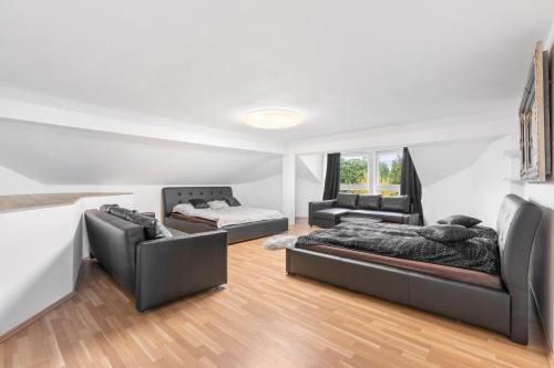 Black Dragon Haven in Prague 20