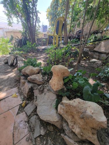 Dārzs, Beit El Asfour - Traditional Home with a Cave in Bālbeka